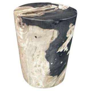 Andrianna Shamaris Modern Organic Petrified Wood Side Table For Sale