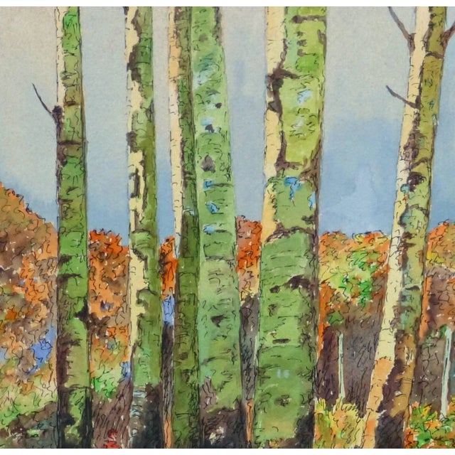 Traditional J. Rottin, Vintage Watercolor Landscape - Birch Grove For Sale - Image 3 of 5