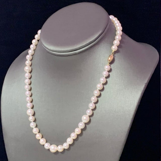 Akoya Pearl Necklace 14k Gold Certified For Sale - Image 12 of 14