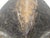 Vintage West African Mask For Sale - Image 9 of 16
