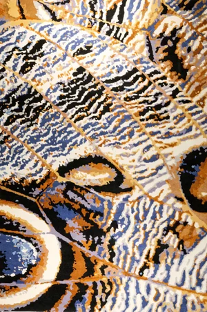 The Buckeye Hand-Knotted Tibetan Weave by Murano Shutters