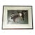 Large Framed John James Audubon Golden-Eyed Duck Primordial Folio Print For Sale