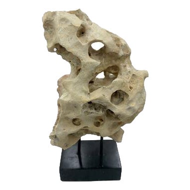 Indonesian Coral Stone On Teak Stand For Sale