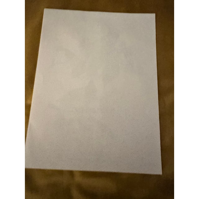 Mid 20th Century Northern Cardinal – Vintage Audubon-Style Bird Print For Sale - Image 5 of 5