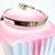 Cookie Tin in Floral Porcelain, 1920s For Sale - Image 10 of 16