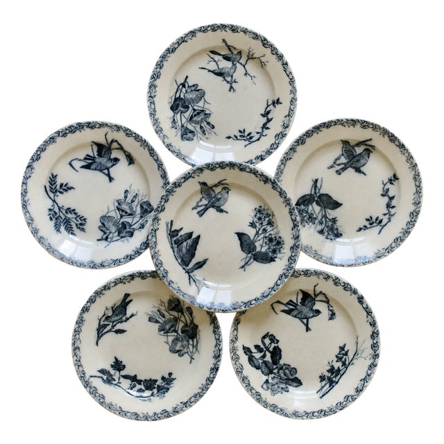 French Plates with Birds by Onnaing, 1875, Set of 6 For Sale