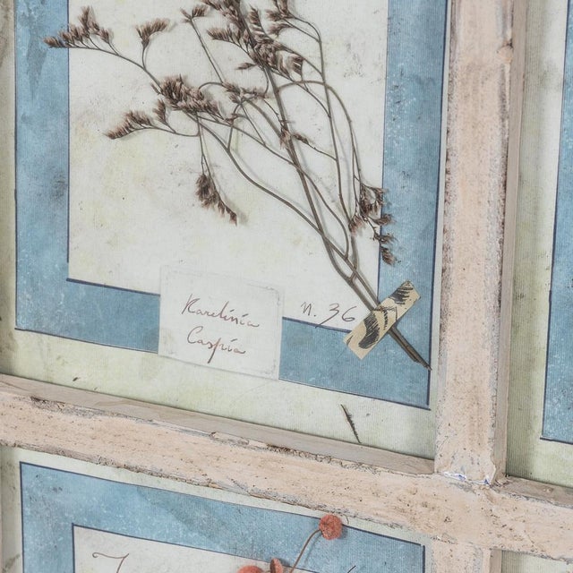 1980s Large Italian Oak Frame Containing Pressed Flowers and Herbs, 1980s For Sale - Image 5 of 18