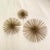 Set of 3 gold metal starburst or sea urchin wall hangings. The large one is 12" round X 3 1/2" high, Medium one is 9"...