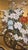 Gold Attributed Okuda Hōgen (Hōen) Japanese Hanaguruma Four-Panel Byōbu Folding Screen on Gold Silk, Early 20th Century For Sale - Image 8 of 16