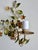 Vintage Florentine Style 2-Light Floral Tole Wall Sconces in Hand-Painted Polychrome Metal, 1960s, Set of 2 For Sale - Image 9 of 18