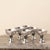 Silver Serving Coupes, 1890s, Set of 6 For Sale - Image 6 of 6