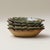 Ceramic Japanese Kiln-Transmuted Leaf-Pattern Ceramic Small Dish - Set of 4 For Sale - Image 7 of 7