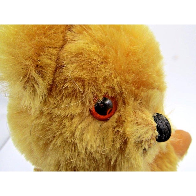 Gold 1960s Uk Farnell Golden Mohair Bear With Working Squeak Box Excellent Condition For Sale - Image 8 of 9