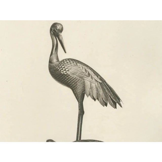 Audsley, Cranes on Ornamental Base, 1884, Heliograph For Sale - Image 4 of 7