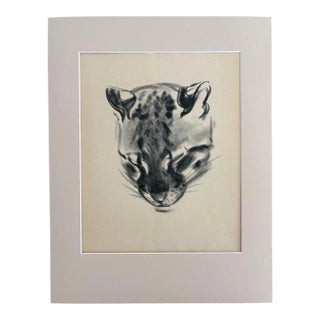 Vintage Clare Turlay Newberry Ocelot Print in 14x18 Mat: 'Pounce Asleep", EUC For Sale