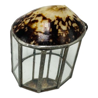 Decorative Shell Box For Sale