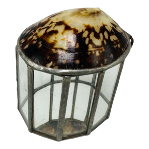 Decorative Shell Box