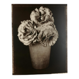 Tom BarilLarge Format Vintage Floral Black & White Silver Gelatin Photograph Tom Baril, 1997