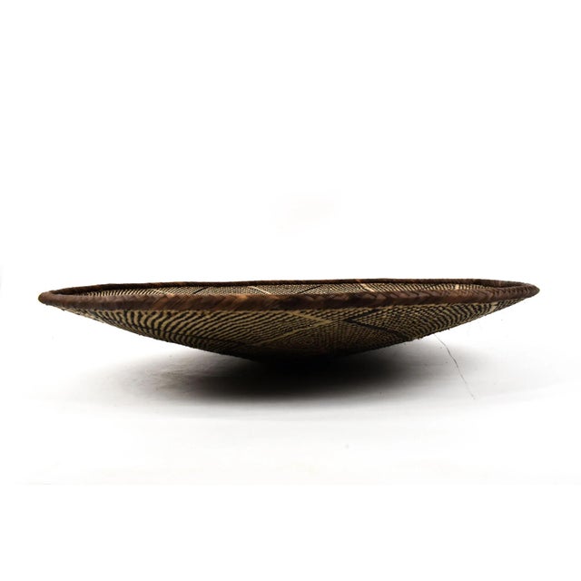 African Early 20th Century Tonga Binga Basket 22.5 Inch For Sale - Image 3 of 7