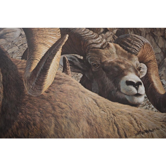 Carl Brenders "Rocky Kingdom - Bighorn Sheep" Signed Limited Edition Lithograph, 1992 For Sale - Image 4 of 10