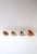 Early 20th Century Seashells Natural, Set of 4 For Sale - Image 5 of 10