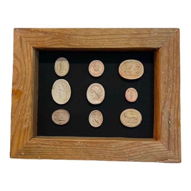 Italian Plaster Intaglios in Reclaimed 1880s Pine Frame For Sale