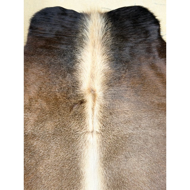 Contemporary Small Natural Brazilian Cowhide For Sale - Image 3 of 4