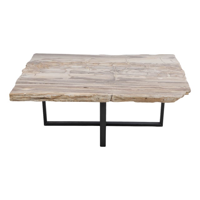 Petrified Wood Coffee Table on Steel Frame by Xyleia Petrified Wood For Sale
