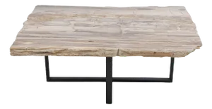 Petrified Wood Coffee Table on Steel Frame by Xyleia Petrified Wood