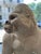 White Seated Gorilla Sculpture in White Ceramic by Ronzan, 1950s For Sale - Image 8 of 18