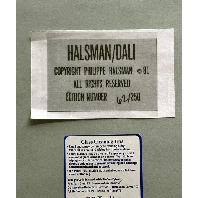 Wood Framed Editioned Dali Photograph by Philippe Halsman For Sale - Image 7 of 8