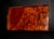 2020s Rare Fragrant Thuya Exotic Wood Tray Large 15.5" Solid Wood For Sale - Image 5 of 18