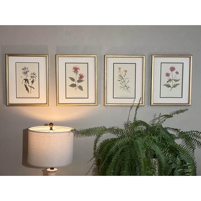 Mid-Century Modern Vintage Botanical Print Set of 4 - Authentic 1953 Prints For Sale - Image 3 of 5