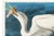 White Great White Heron, Vintage Art Print Reproduction From Birds of America by John James Audubon, 60" X 40" For Sale - Image 8 of 11