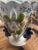 Alabaster European Porcelain Vases - A Pair For Sale - Image 8 of 9