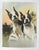 Early 20th century colortone advertising photograph of a pair of Boston Terrier dogs. Unsigned. Unframed, edge and corner...