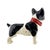 American Antique Hand-Painted Boston Terrier Ceramic Dog Statue With Red Collar For Sale - Image 3 of 9