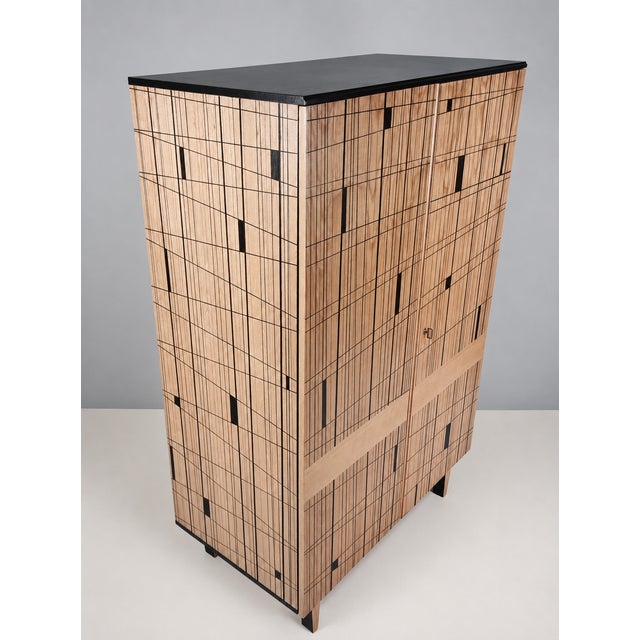 Vintage Wardrobe by Francisek Mezulanik, 1970s For Sale - Image 12 of 14