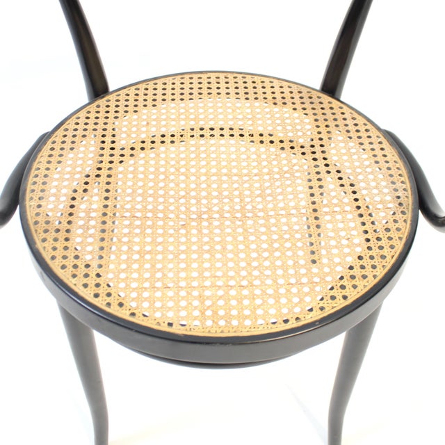 Set of Model 209 Armchairs from Thonet, 1990s For Sale - Image 14 of 16