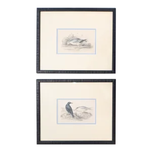1850 Vintage Italian Bird Prints, Framed (Set of 2)