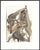 1963 Dalí Divine Comedy Engraving Enfer Chant 11 "Au Bord Du 7e Bolge" (On the Edge of the 7th Bolge) For Sale