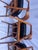 Mid 20th Century Vintage Mid Century W. H. Gunlocke Chair Co. Walnut Set of 4 Dining Chairs For Sale - Image 17 of 17