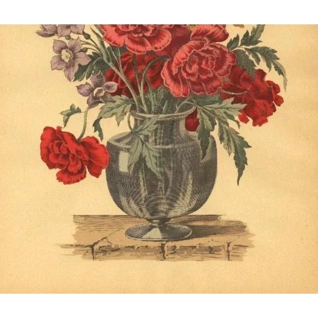 French Early 20th Century-French Floral Botanical in Style of Jean-Baptiste De Poilly, Matted For Sale - Image 3 of 3