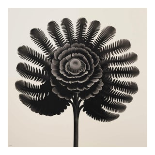 Dryopteris Filix — Vintage Botanical Photography Print For Sale