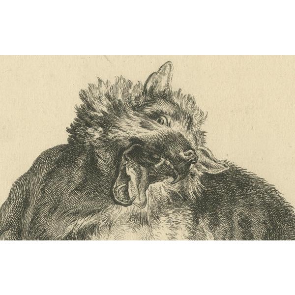 After Jean-Baptiste Oudry, Trapped Wolf, Etching, 1740 For Sale - Image 5 of 7