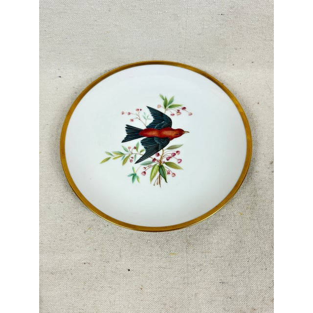 Vintage Bavarian Bird Plates For Sale In New Orleans - Image 6 of 9
