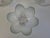 Bohemia Glass Flower Dessert Bowls, Former Czechoslovakia, 1960, Set of 6 For Sale - Image 14 of 18