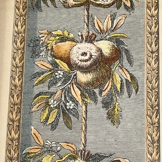 Vintage Hand Colored Engraving Old World European Fruit Swag For Sale - Image 10 of 18