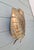 1970s Floral Wall Sconce in Brass from Maison Jansen, France, 1970s For Sale - Image 5 of 11