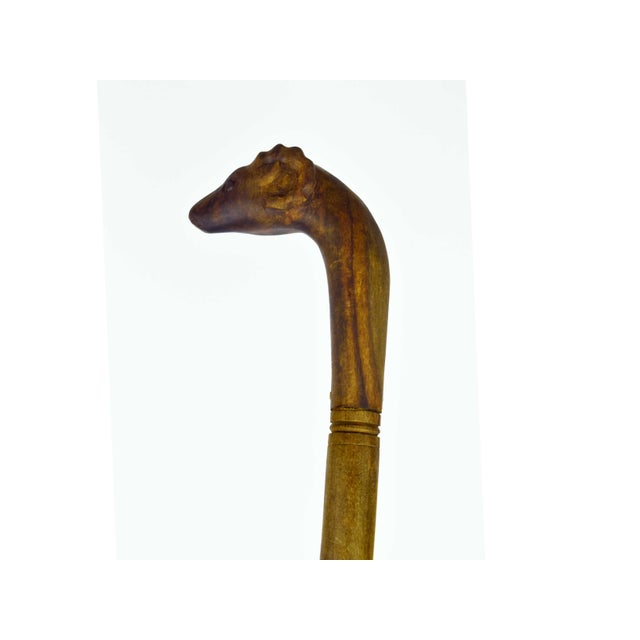 Antique Hand Carved Folk Art Ram Head Wooden Walking Cane For Sale - Image 4 of 9